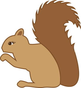 squirrel-1158779_960_720